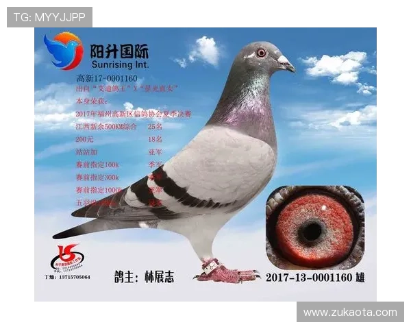 AG国际登录平台支持多设备同步登录，无论手机还是电脑都能随时畅玩，享受便捷互动娱乐体验